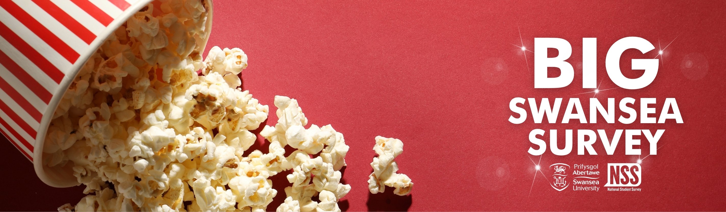 Big Swansea Survey logo. Popcorn spilling out of a cup.