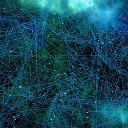 network