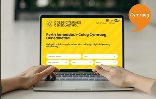 Cyflwyniad i’r Porth