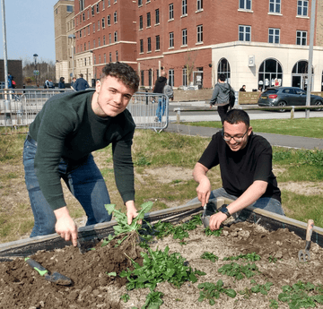Students gardening on Singleton 