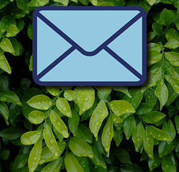 An icon depicting a letter appears in front of some lush green foliage