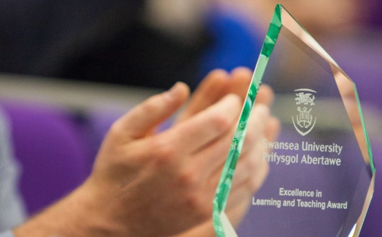 An image of an Excellence in Learning and Teaching Award. An audience can be seen applauding in the background.